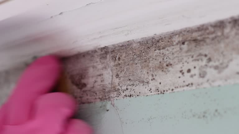 Forensic Mold Investigation in Ogallala, NE